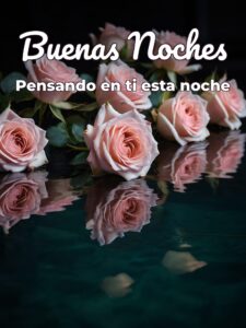 Palabras de amor de buenas noches para WhatsApp