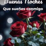 buenas noches que sueñes conmigo