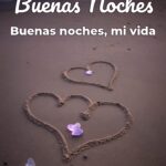 buenas noches buenas noches, mi vida