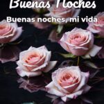 buenas noches buenas noches, mi vida