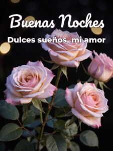 Palabras de buenas noches amor para WhatsApp