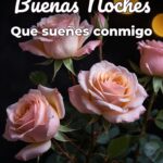 buenas noches que sueñes conmigo