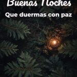 buenas noches que duermas con paz