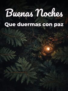 Palabras de buenas noches para celular