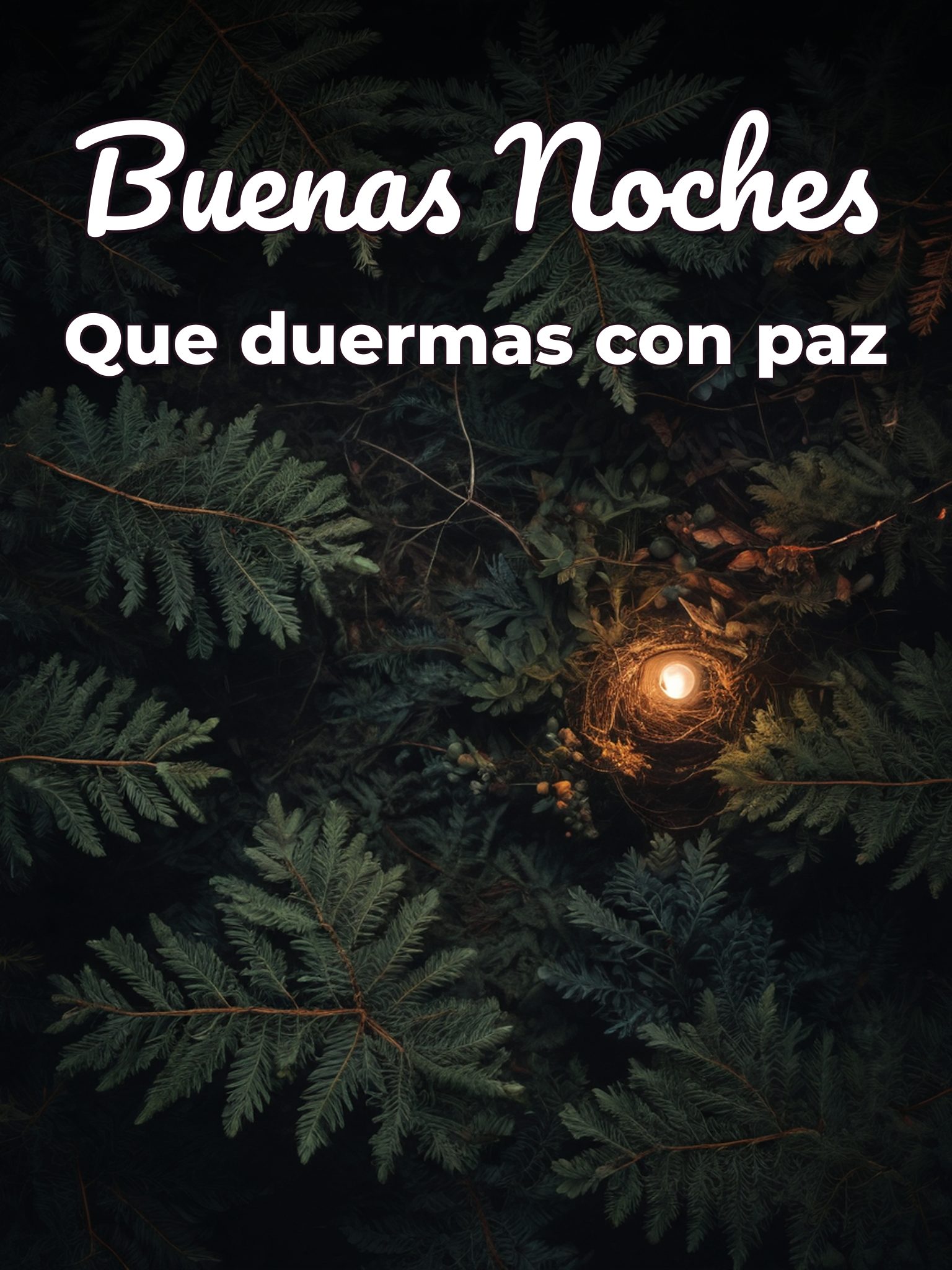 Palabras de buenas noches para celular