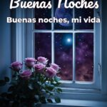 buenas noches buenas noches, mi vida