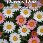 buenos días que tengas un día maravilloso