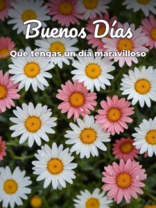 Palabras hermosas de buenos días
