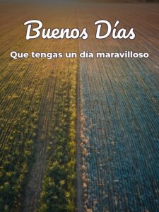 Palabras hermosas de buenos días para celular