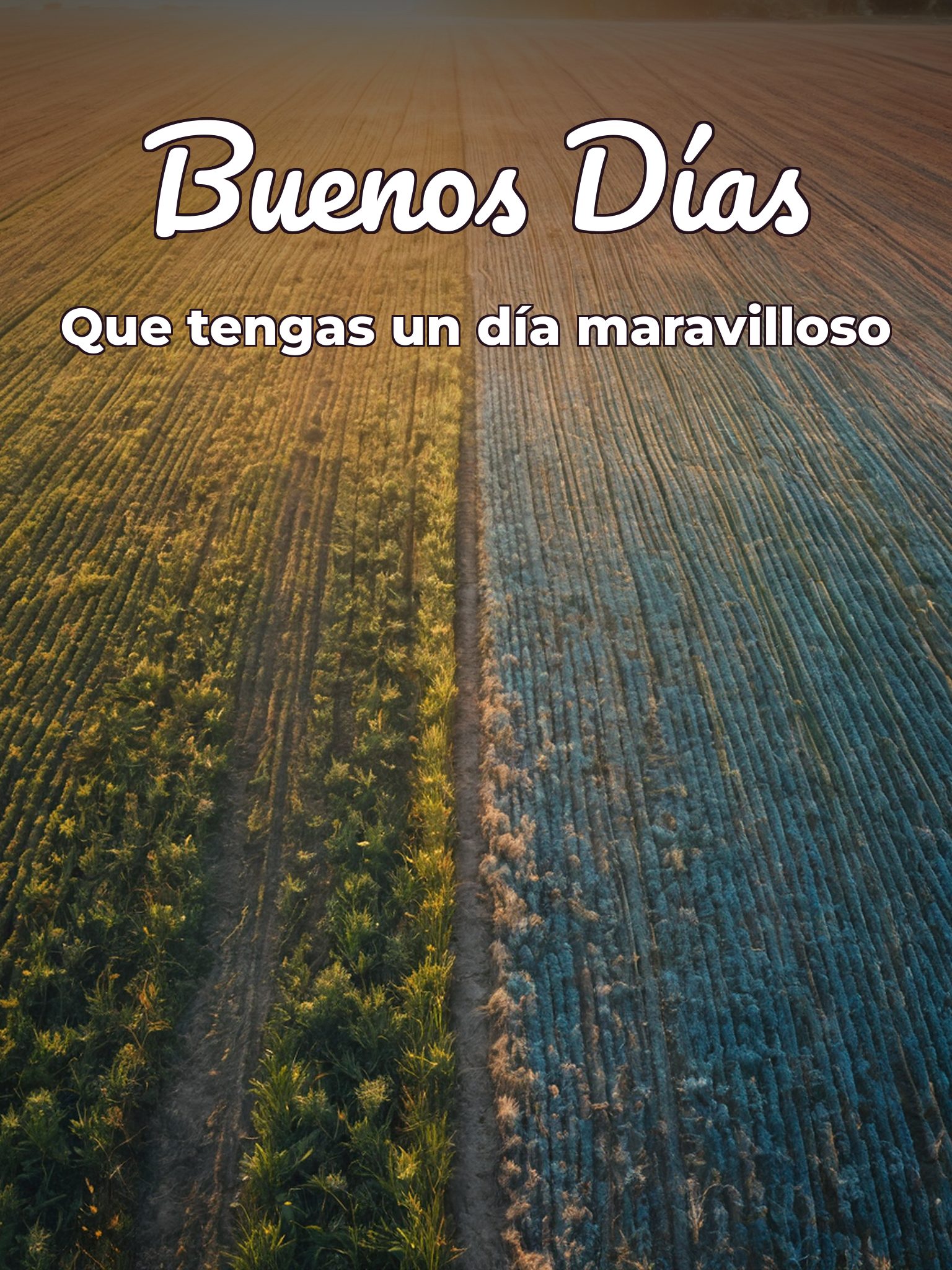 Palabras hermosas de buenos días para celular