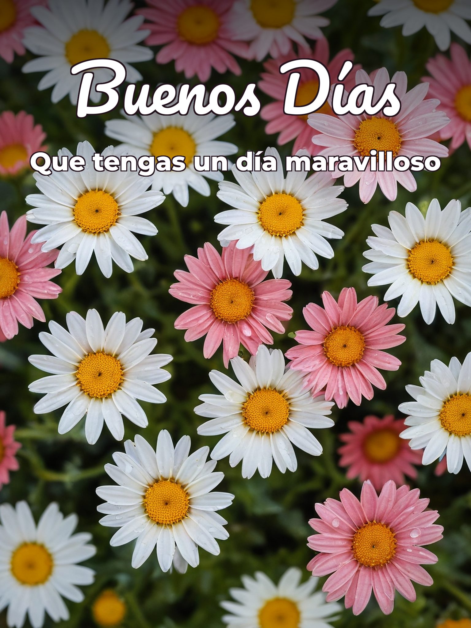 Palabras hermosas de buenos días