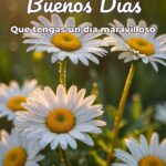 buenos días que tengas un día maravilloso
