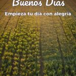buenos días empieza tu día con alegría