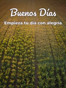 Palabras lindas de buenos días para Facebook