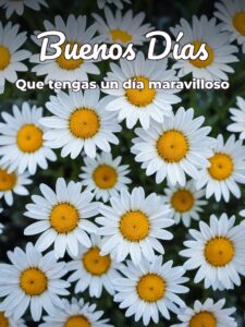 Palabras lindas de buenos días para una amiga