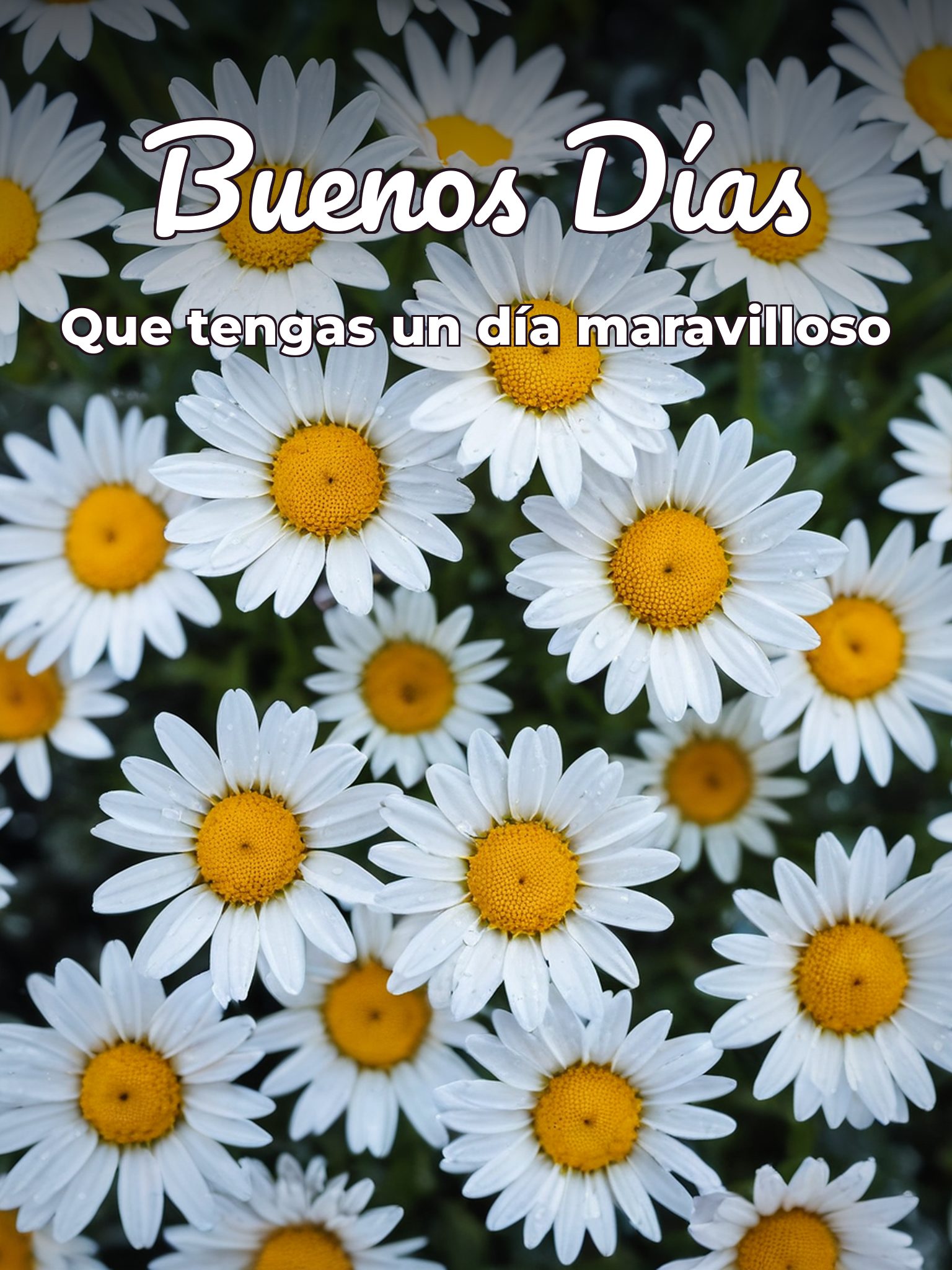 Palabras lindas de buenos días para una amiga