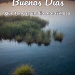 buenos días que tengas un día maravilloso