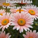 buenos días te deseo un lindo día