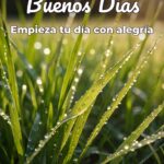 buenos días empieza tu día con alegría