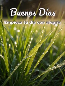 Palabras para los buenos días para Facebook