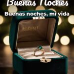 buenas noches buenas noches, mi vida