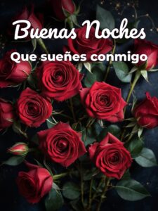 Para desear buenas noches a mi novio para Facebook