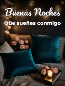 Para desear buenas noches a mi novio para WhatsApp