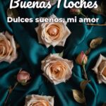 buenas noches dulces sueños, mi amor