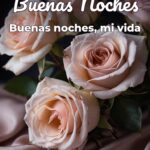 buenas noches buenas noches, mi vida