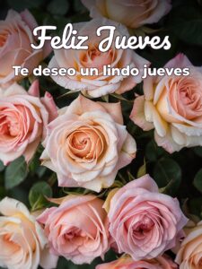 Pensamiento del día jueves