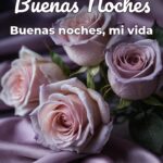 buenas noches buenas noches, mi vida