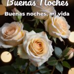 buenas noches buenas noches, mi vida