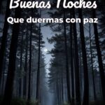 buenas noches que duermas con paz