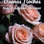 buenas noches dulces sueños, mi amor