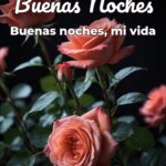 buenas noches buenas noches, mi vida