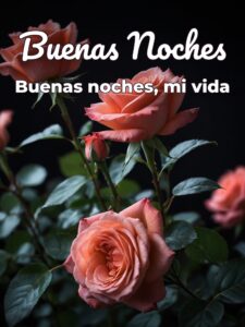 Pensamientos de buenas noches de amor para WhatsApp