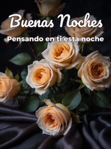 Pensamientos de buenas noches mi amor para WhatsApp