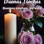 buenas noches buenas noches, mi vida