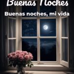 buenas noches buenas noches, mi vida