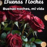 buenas noches buenas noches, mi vida