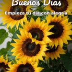 buenos días empieza tu día con alegría