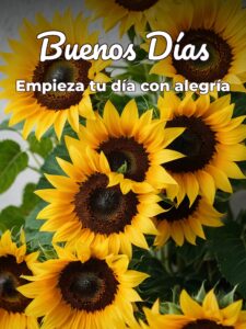 Pensamientos de buenos días para Facebook