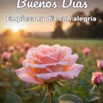 buenos días empieza tu día con alegría