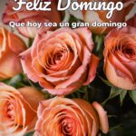 feliz domingo que hoy sea un gran domingo