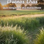 buenos días que tengas un día maravilloso