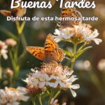 buenas tardes disfruta de esta hermosa tarde