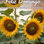 feliz domingo que tengas un domingo maravilloso