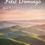 feliz domingo que dios bendiga tu domingo
