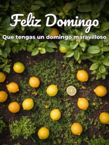 Postales de feliz domingo para WhatsApp