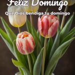 feliz domingo que dios bendiga tu domingo